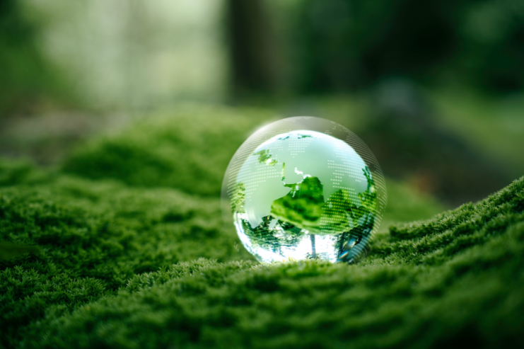 water droplet on green moss