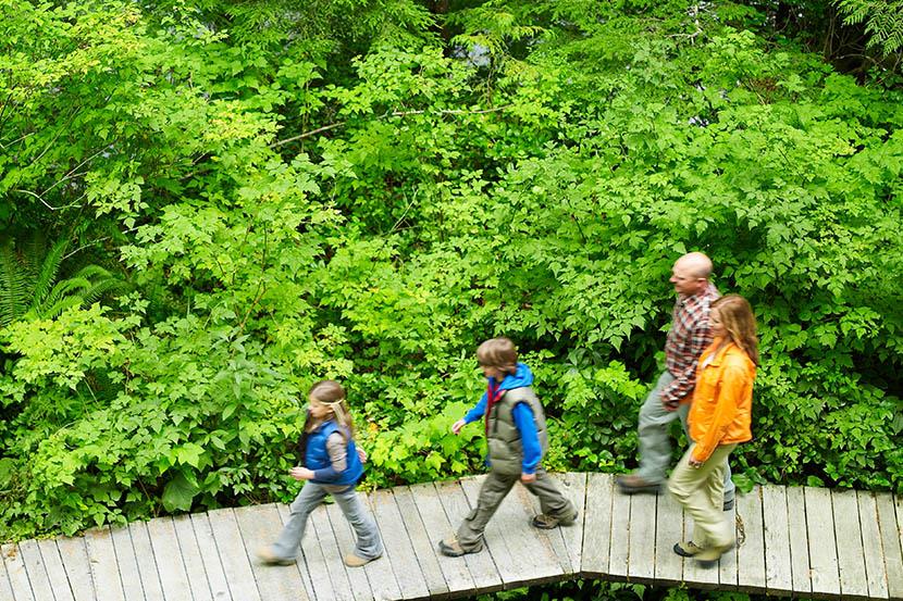 family walking on raised wooden boardwalk through the woods