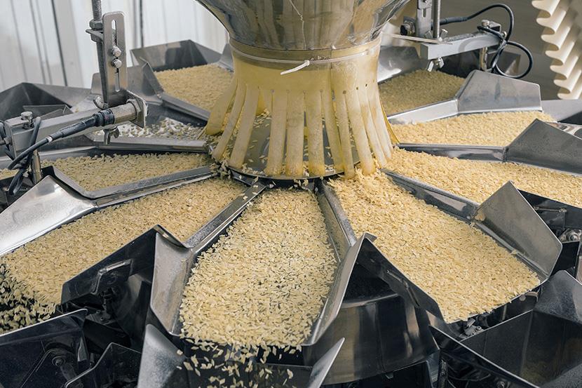automated food factory sorting machine