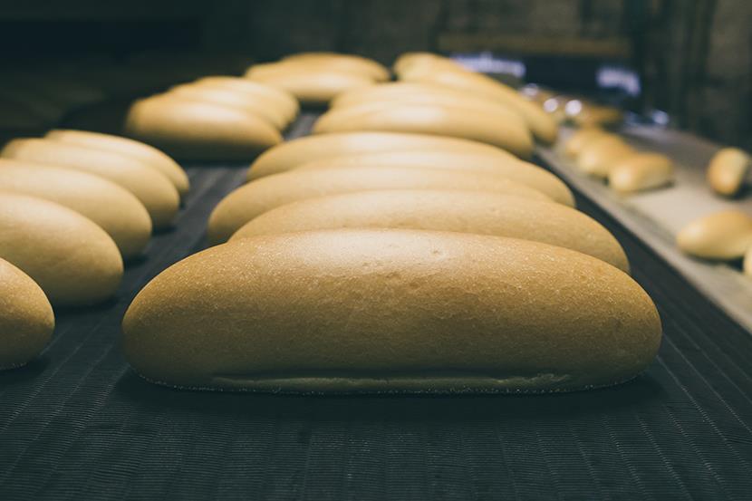 golden loaves of freshly baked bread on commercial baking sheets