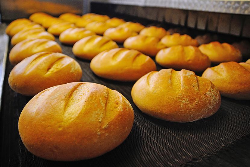 loaves of fresh baked bread on baking sheet